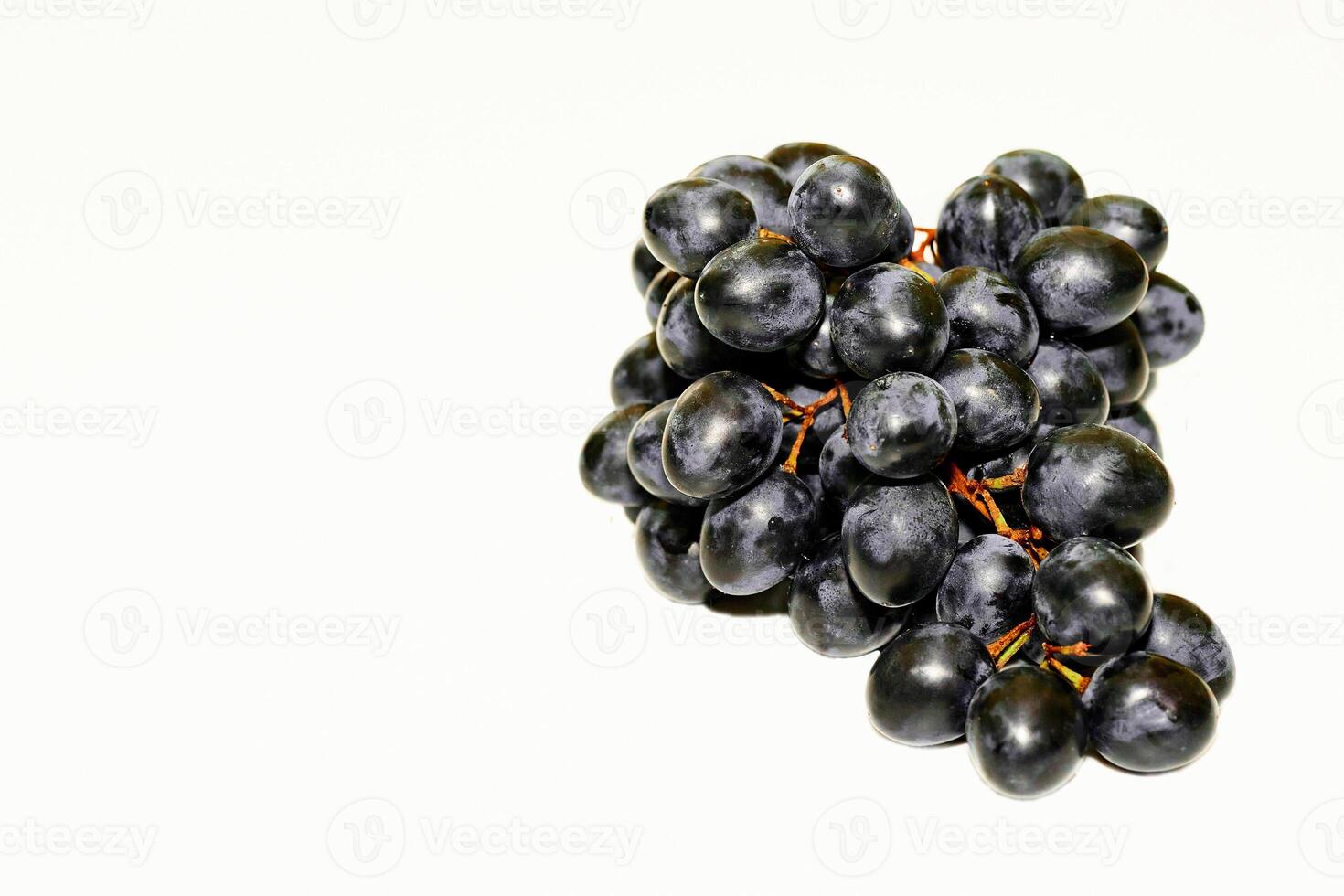 A bunch of ripe black grapes. Making wine, juices. Dessert photo
