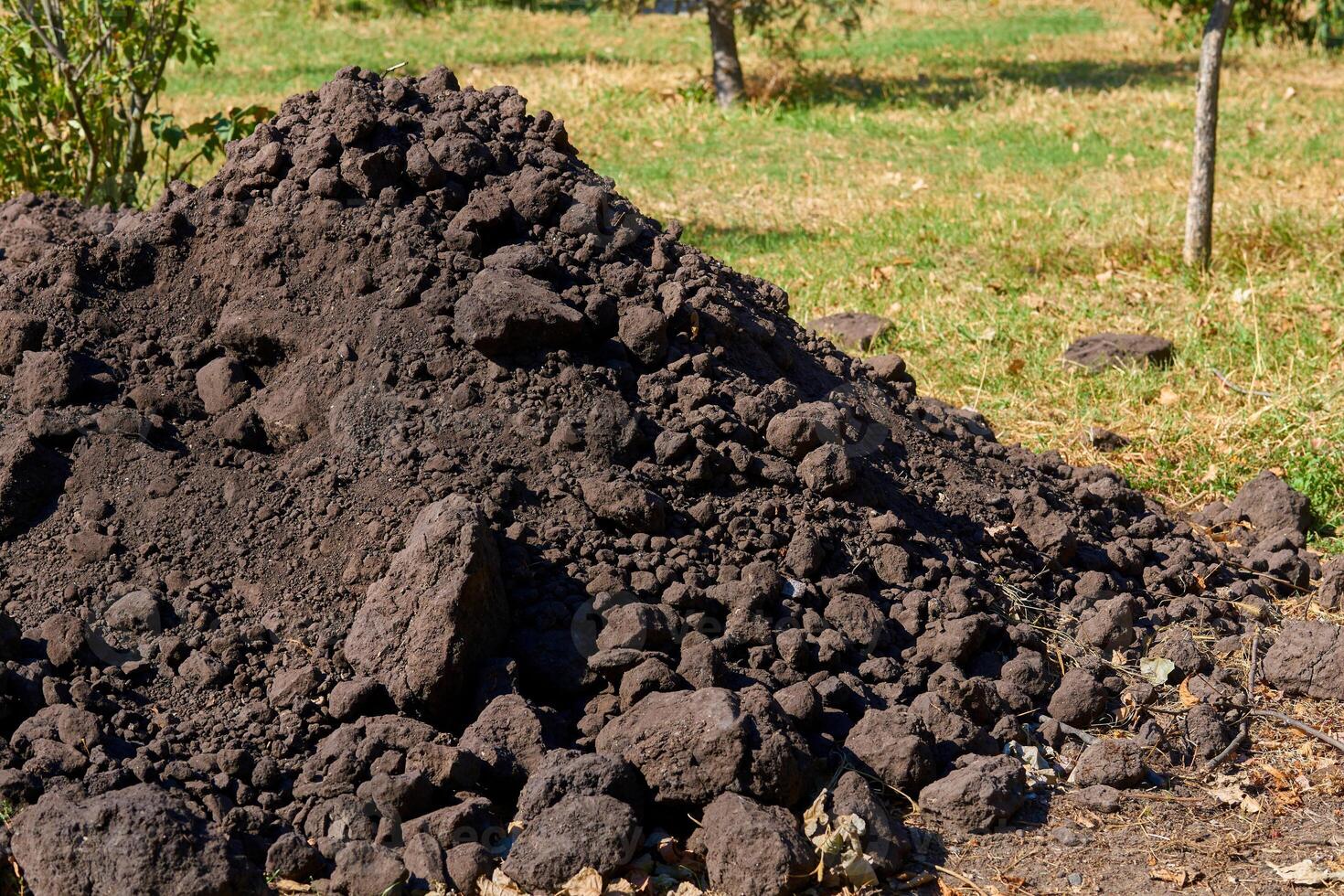 Landscaping. A pile of fertile soil for adding to lawns photo