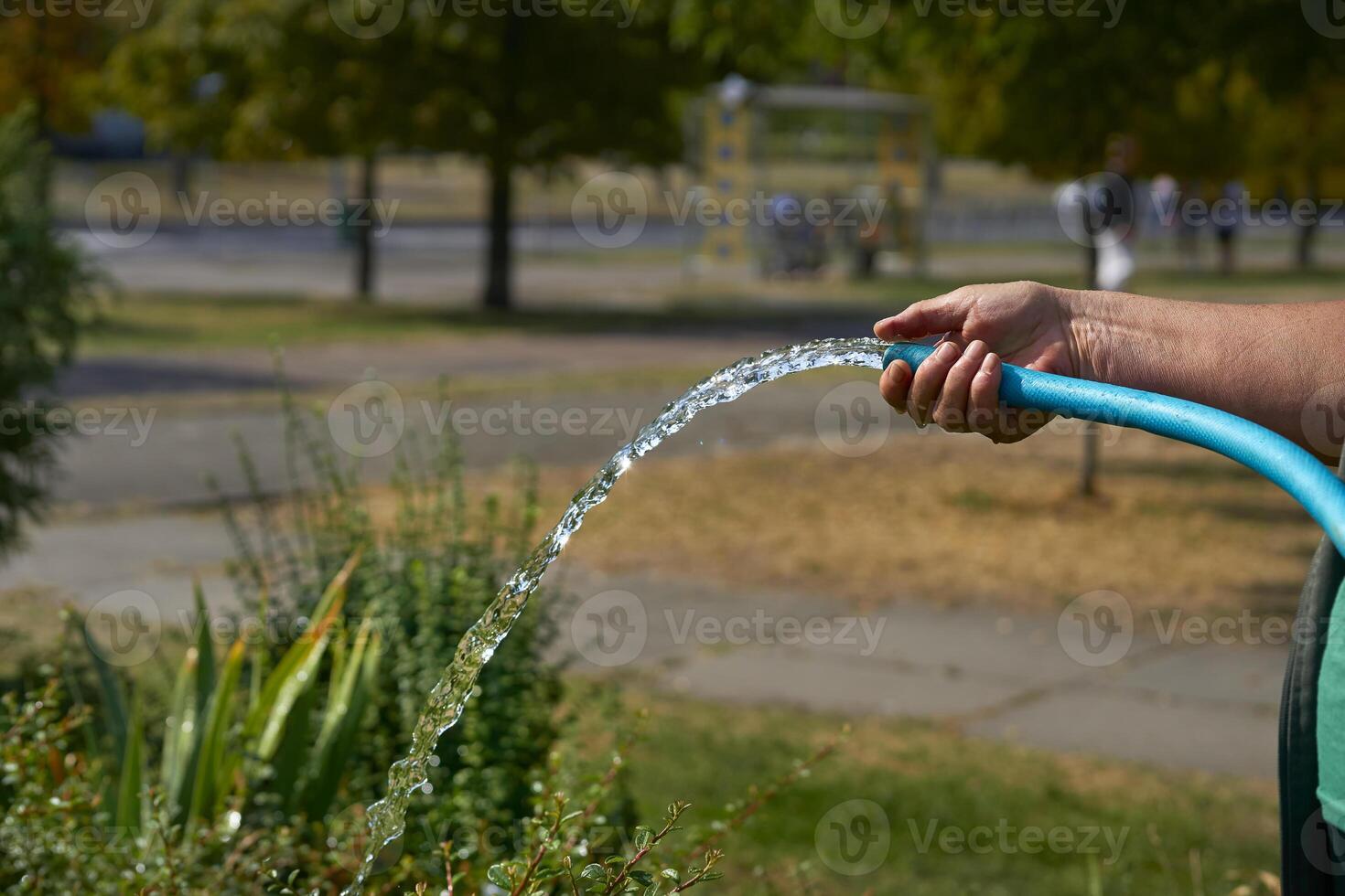 Hand holding a hose with pouring water to water plants photo