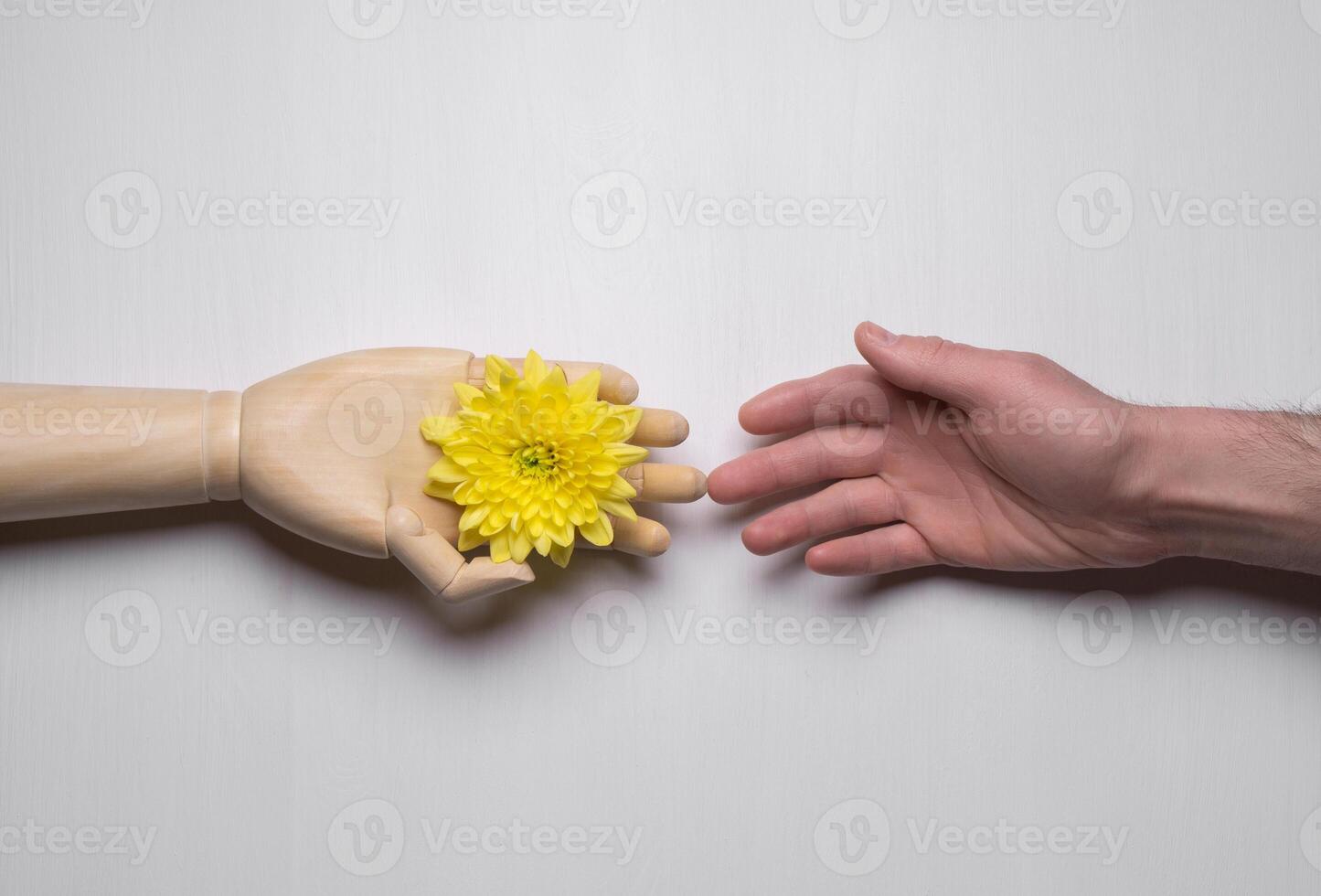 Human interaction with artificial, wooden hand giving flower to person, minimalist concept photo