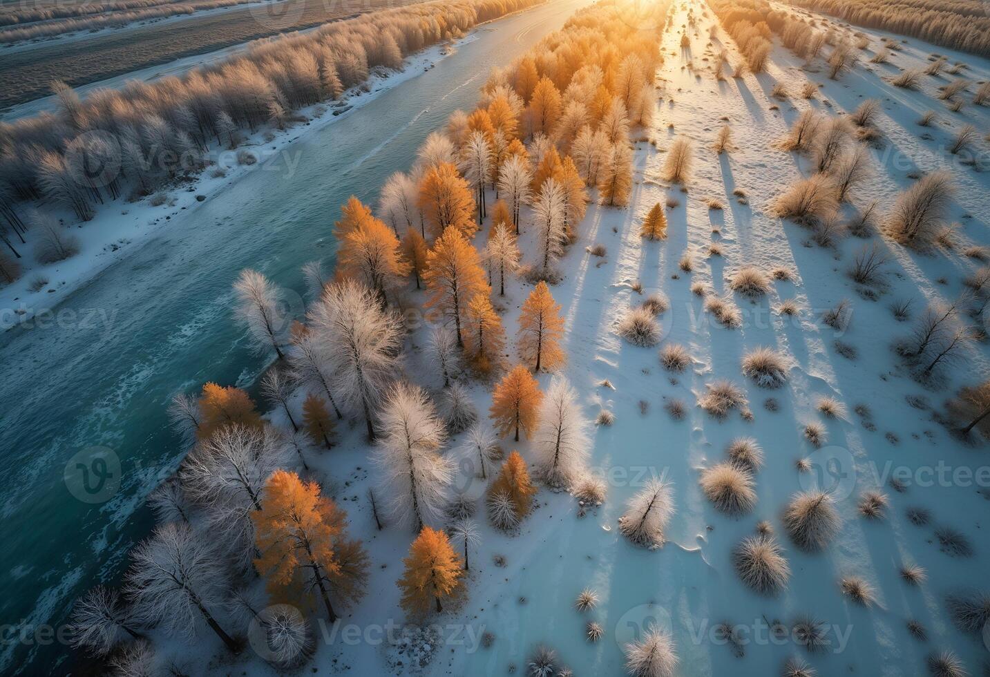 Aerial View of Winding River Through Frosty Trees in Winter Landscape photo