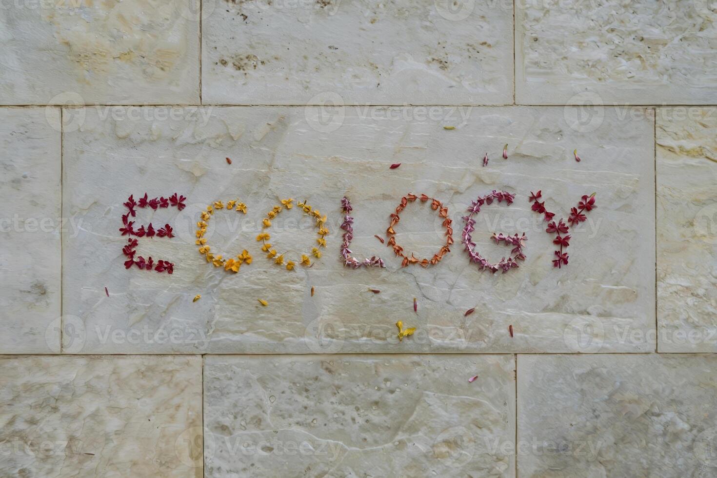 Colorful flower petals arranged to spell 'Ecology' on a stone wall. photo