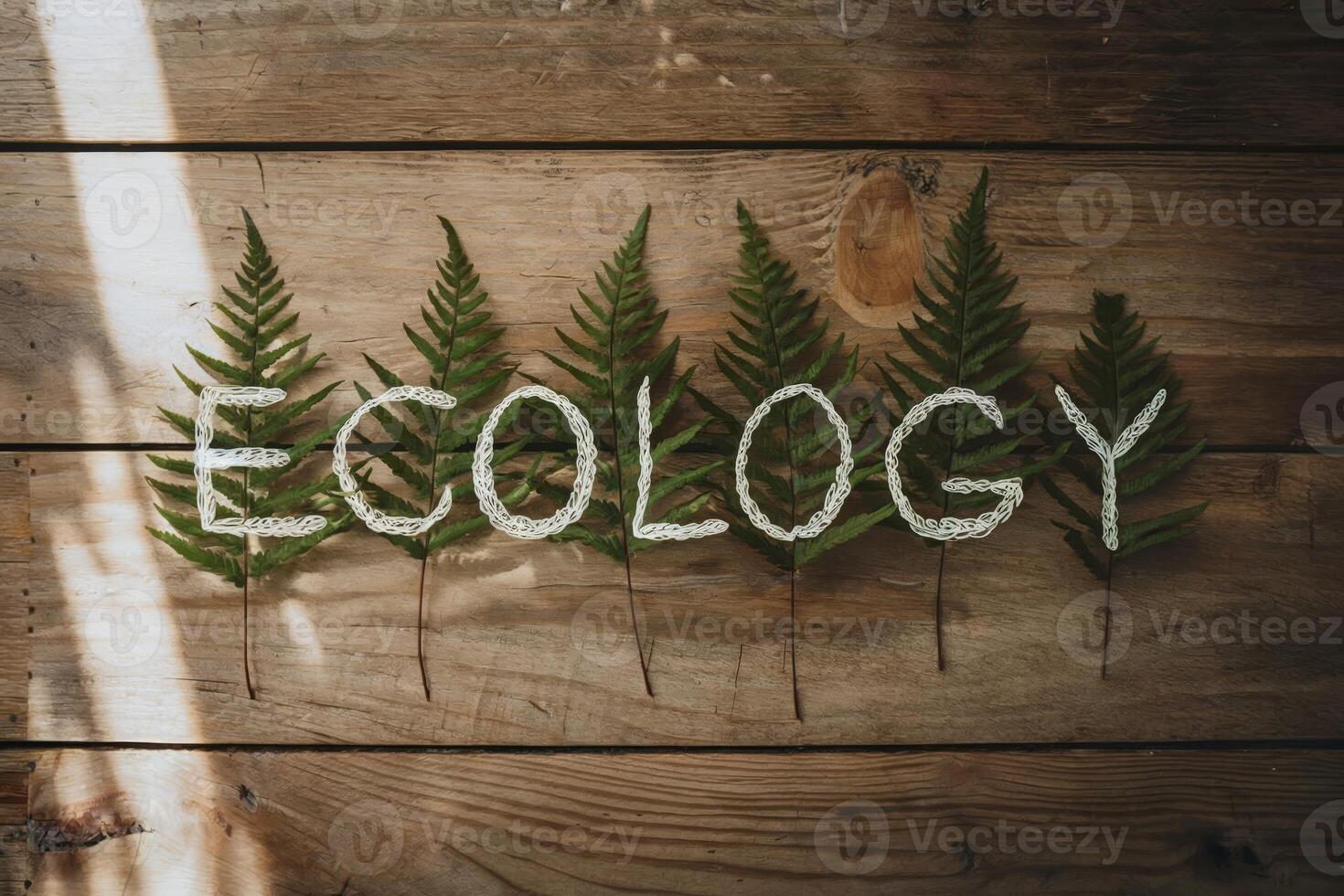 Word 'ECOLOGY' made of white strings on fern leaves against wooden background. photo