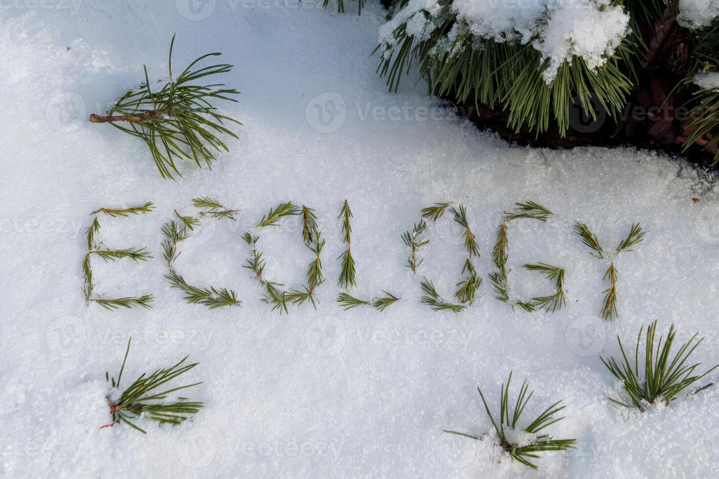 Ecology spelled with pine needles on fresh snow near pine branches. photo