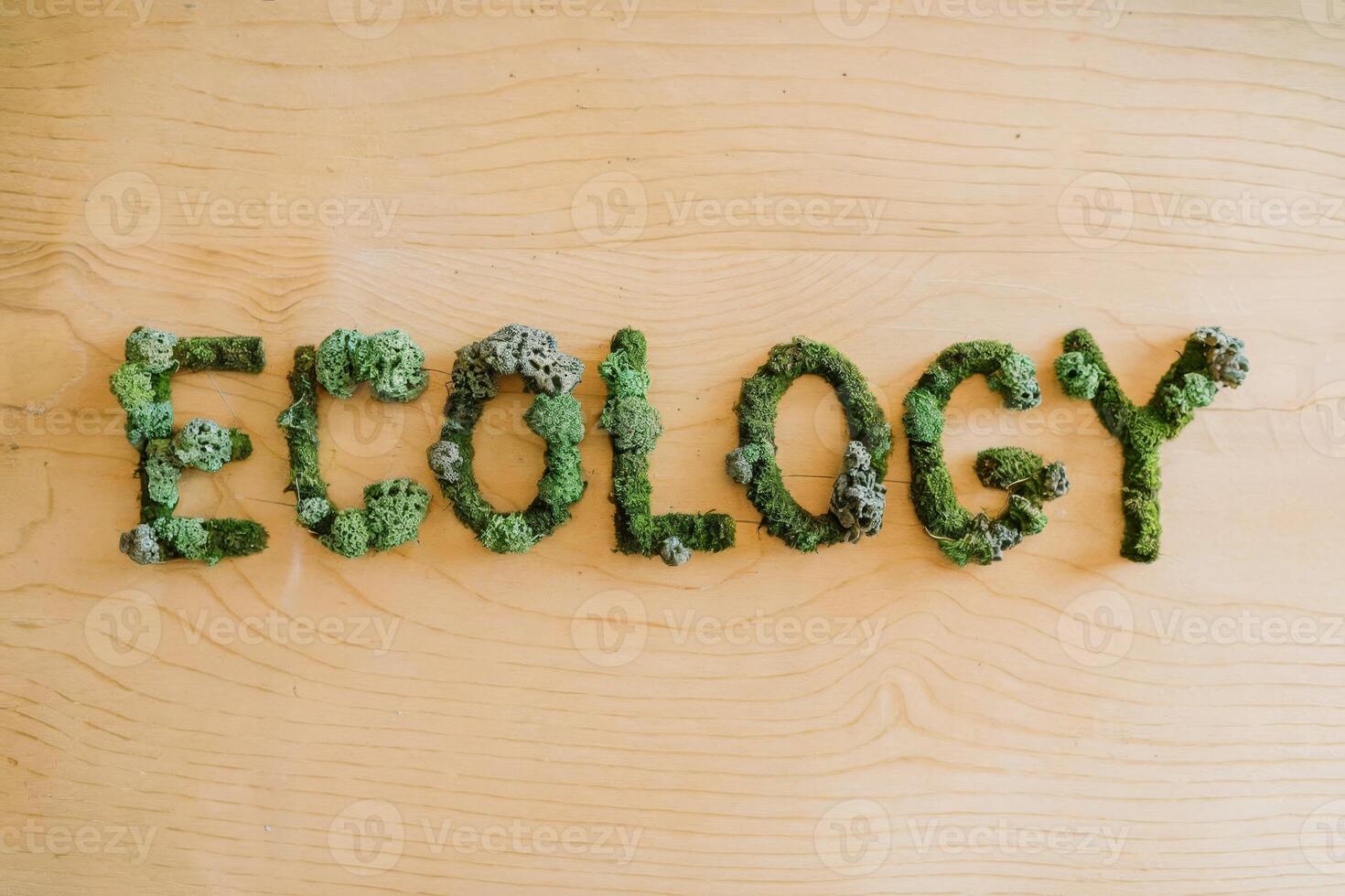 The word 'Ecology' spelled out with green moss on a wooden surface. photo