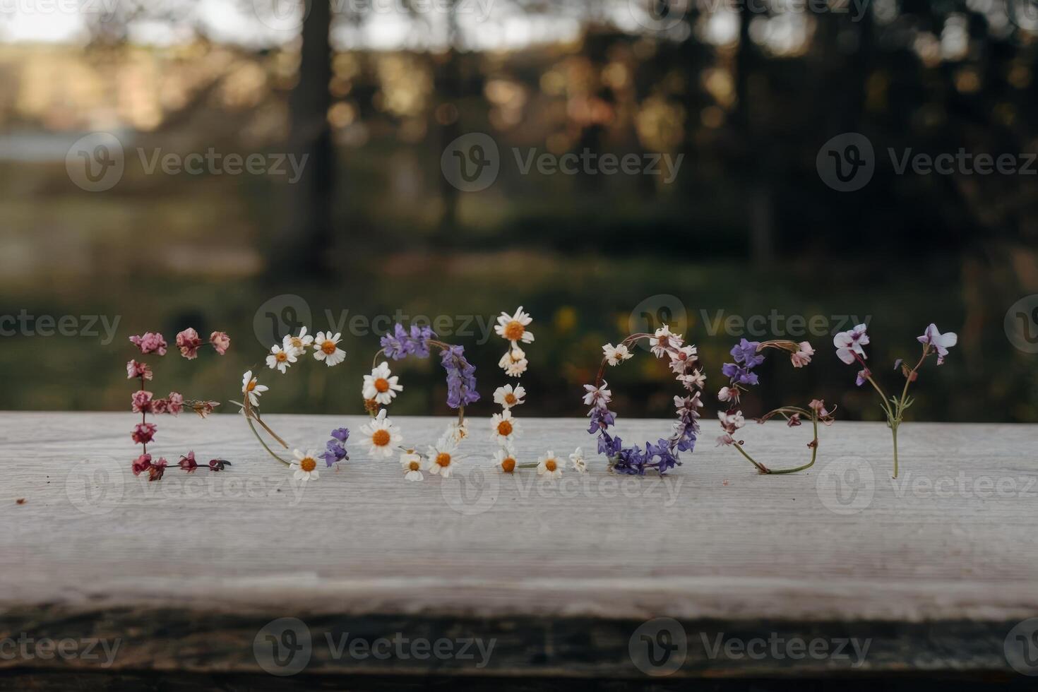Colorful flowers spelling 'Ecology' on a wooden surface in a natural setting. photo