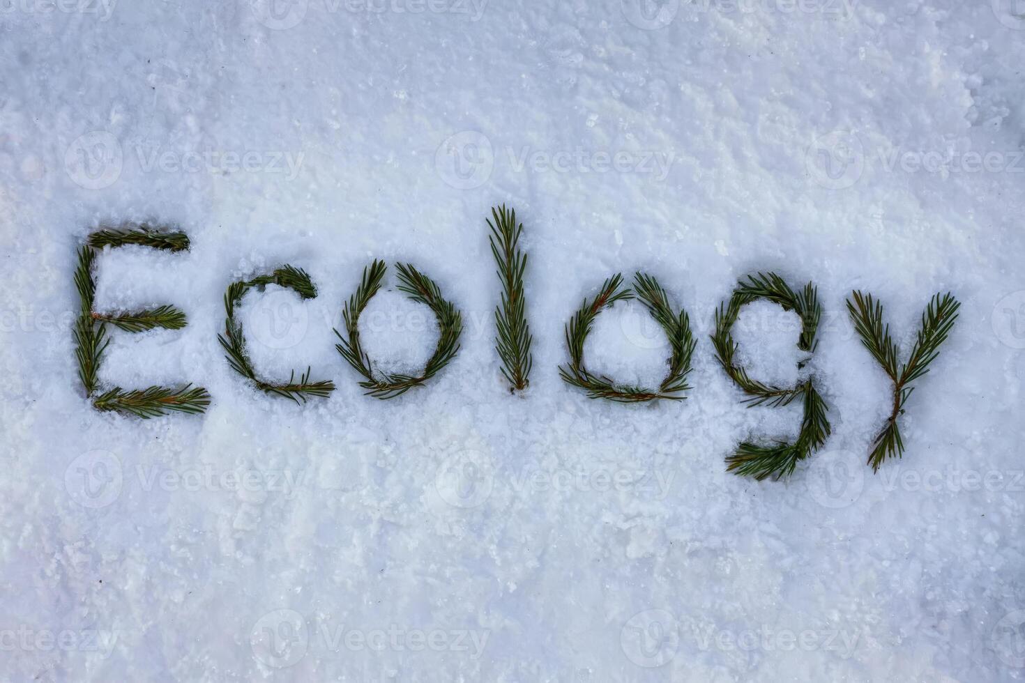 Ecology spelled with pine needles on a blanket of fresh snow. photo