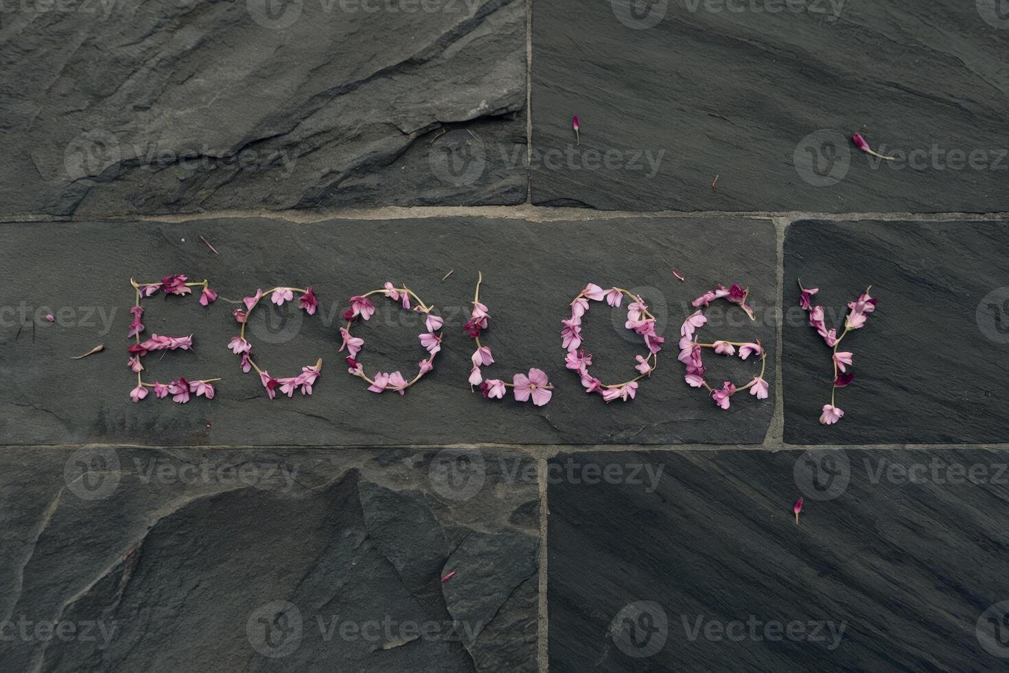 Word 'Ecology' spelled out with pink flowers on a stone surface. photo