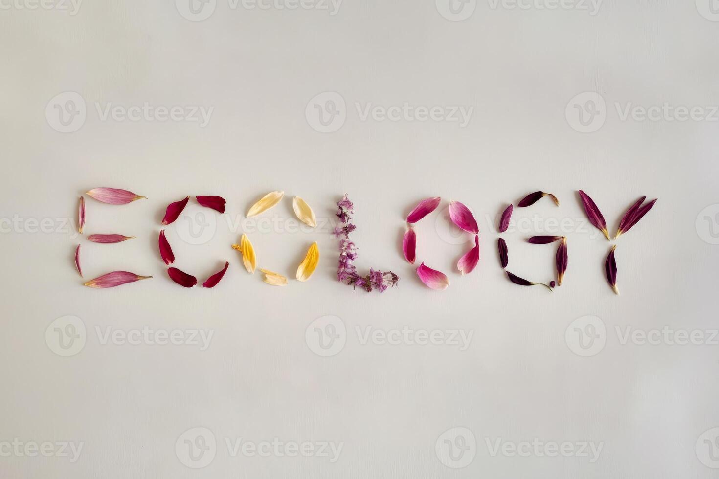 The word 'ECOLOGY' spelled out using colorful flower petals on a white background. photo