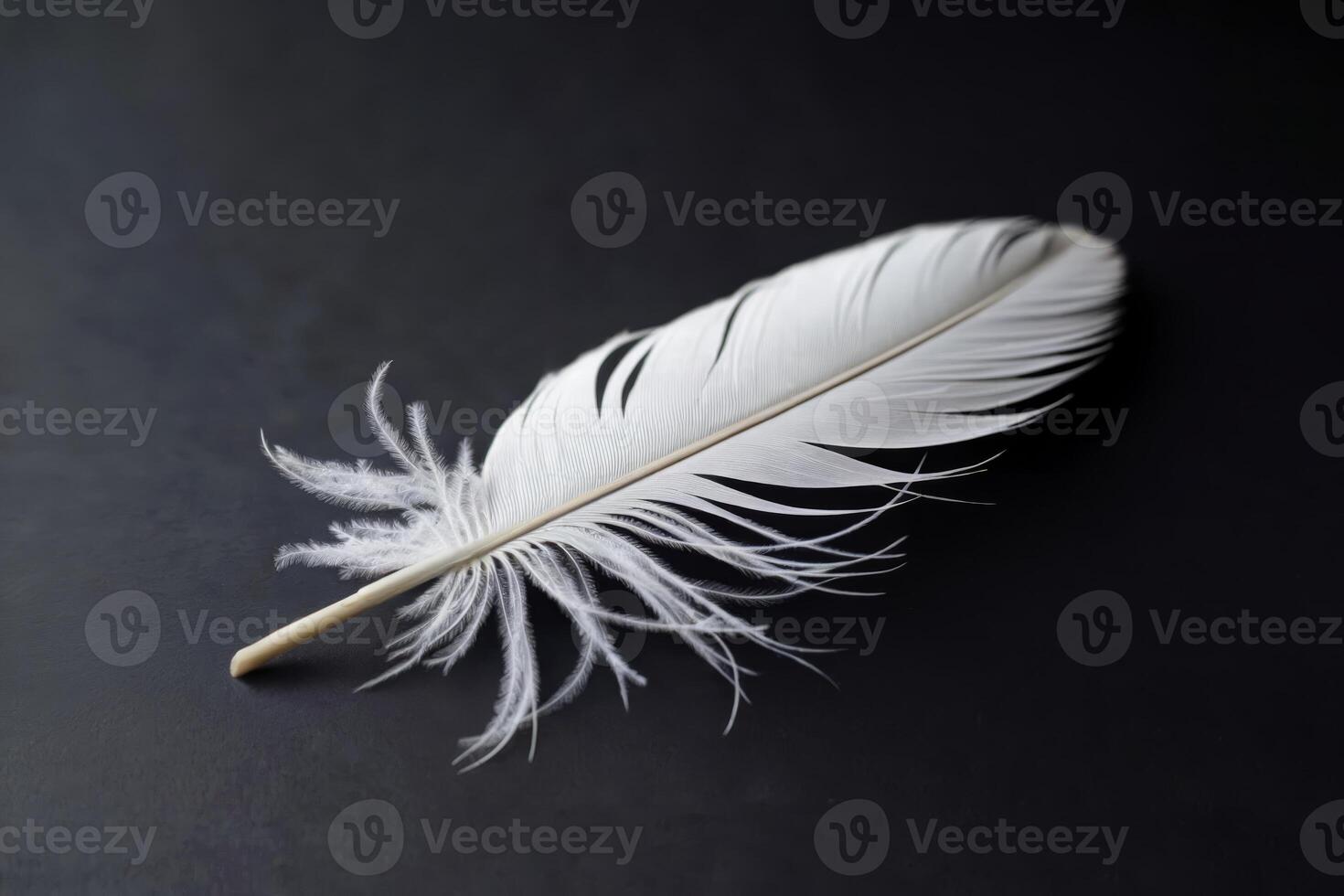 Close-up of a single white feather on a dark background. photo