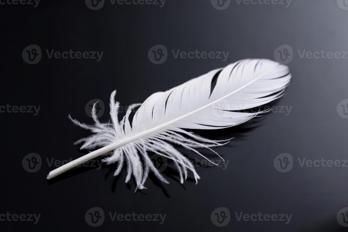 Delicate white feather resting on a sleek black surface. photo