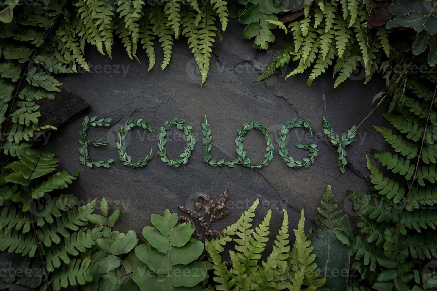 The word 'ECOLOGY' formed with green leaves and surrounded by ferns. photo