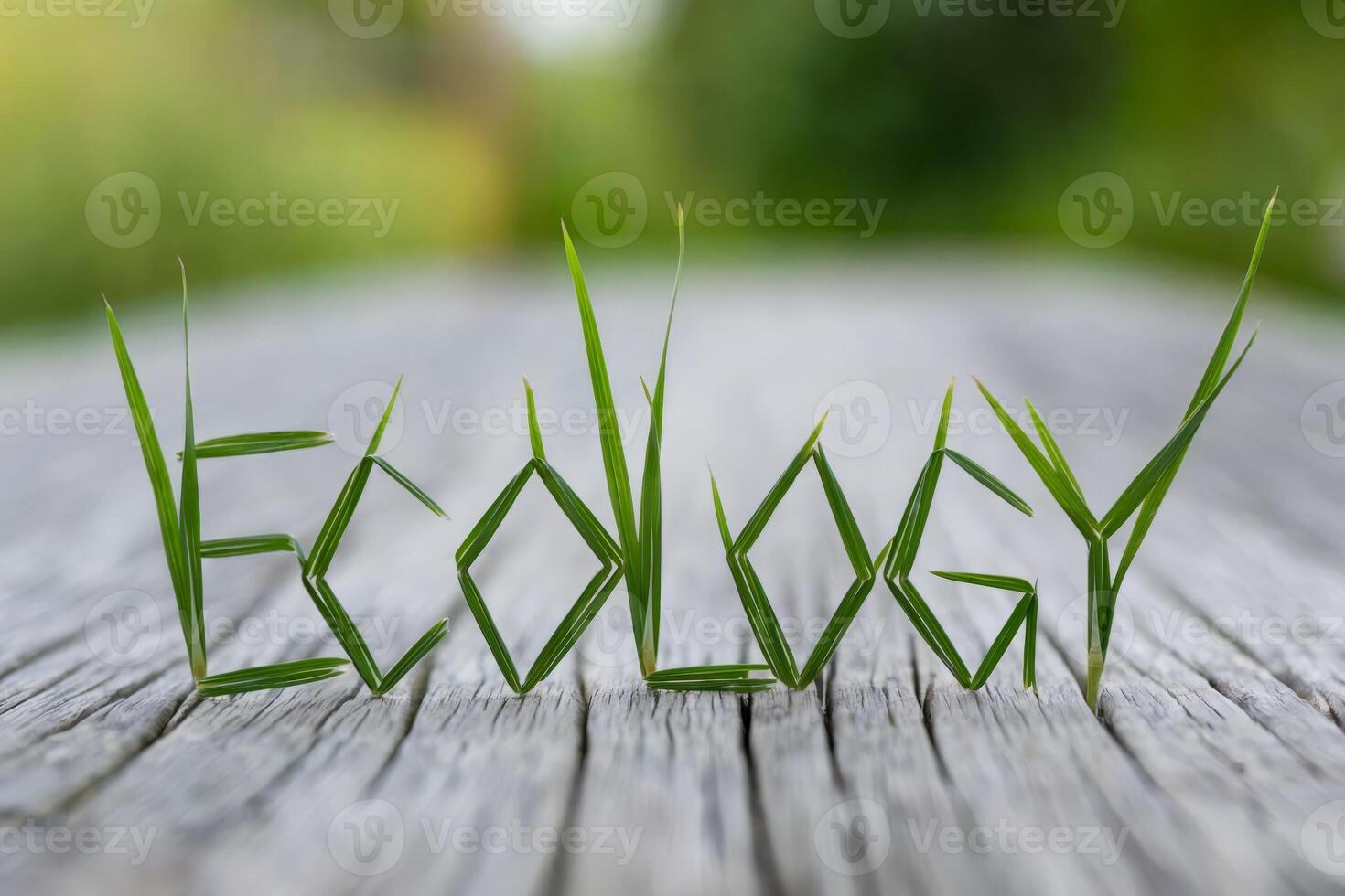 The word 'Ecology' crafted from green grass blades on a wooden surface. photo
