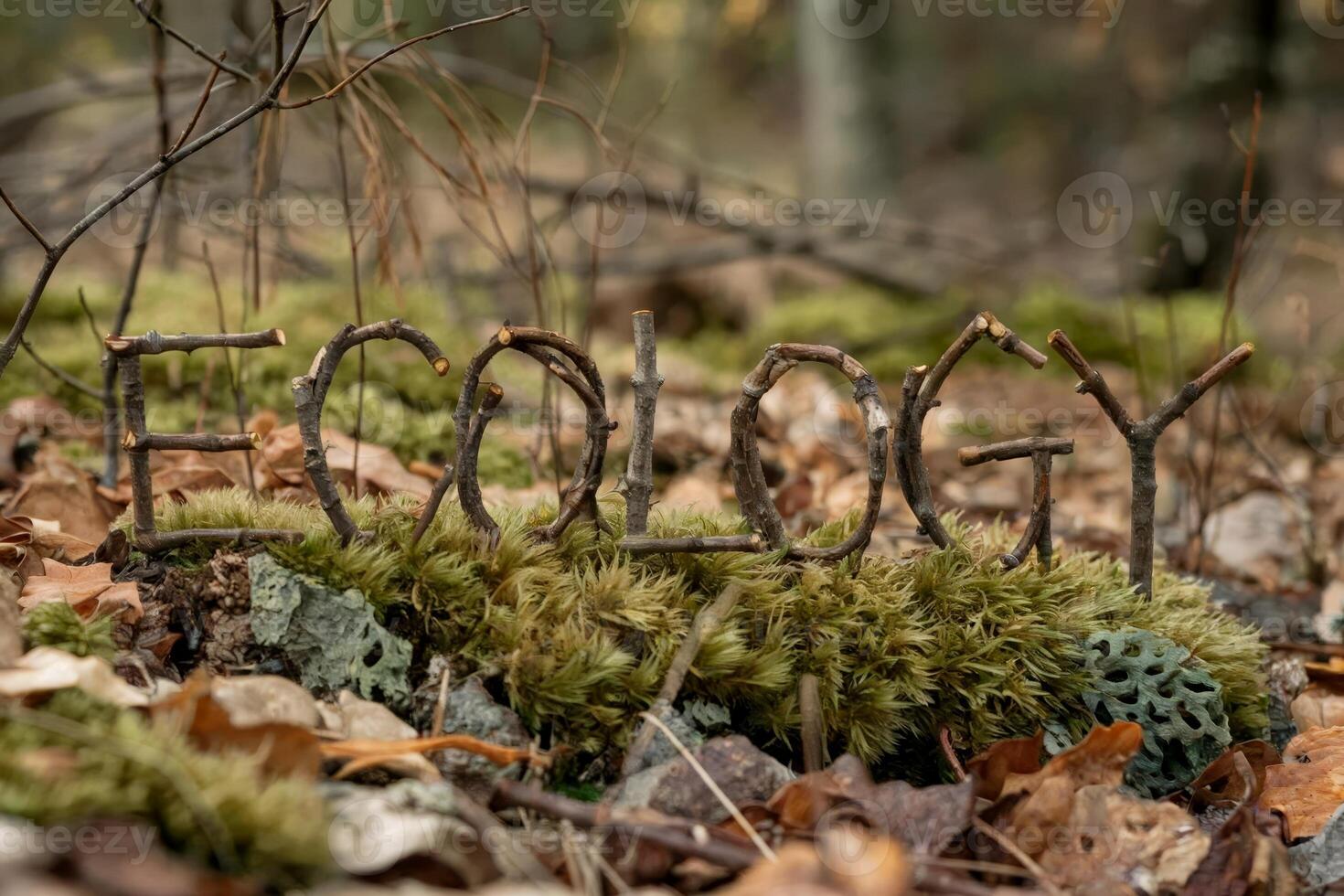 Twigs arranged to spell 'ecology' in a forest floor setting. photo