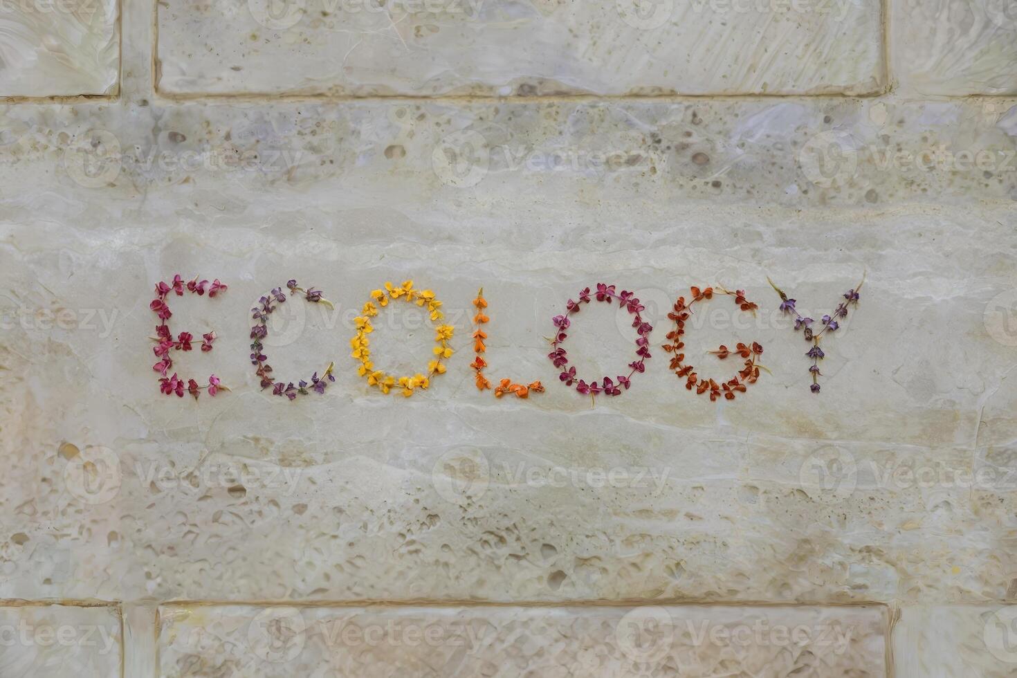 Colorful flowers spelling 'ECOLOGY' on a textured stone background. photo