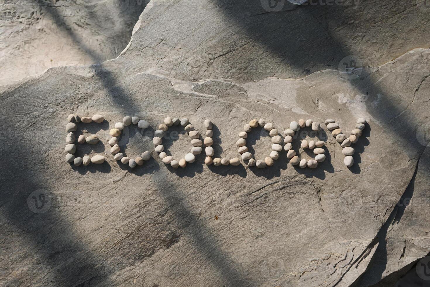 The word 'ECOLOGY' spelled out with pebbles on a stone surface. photo