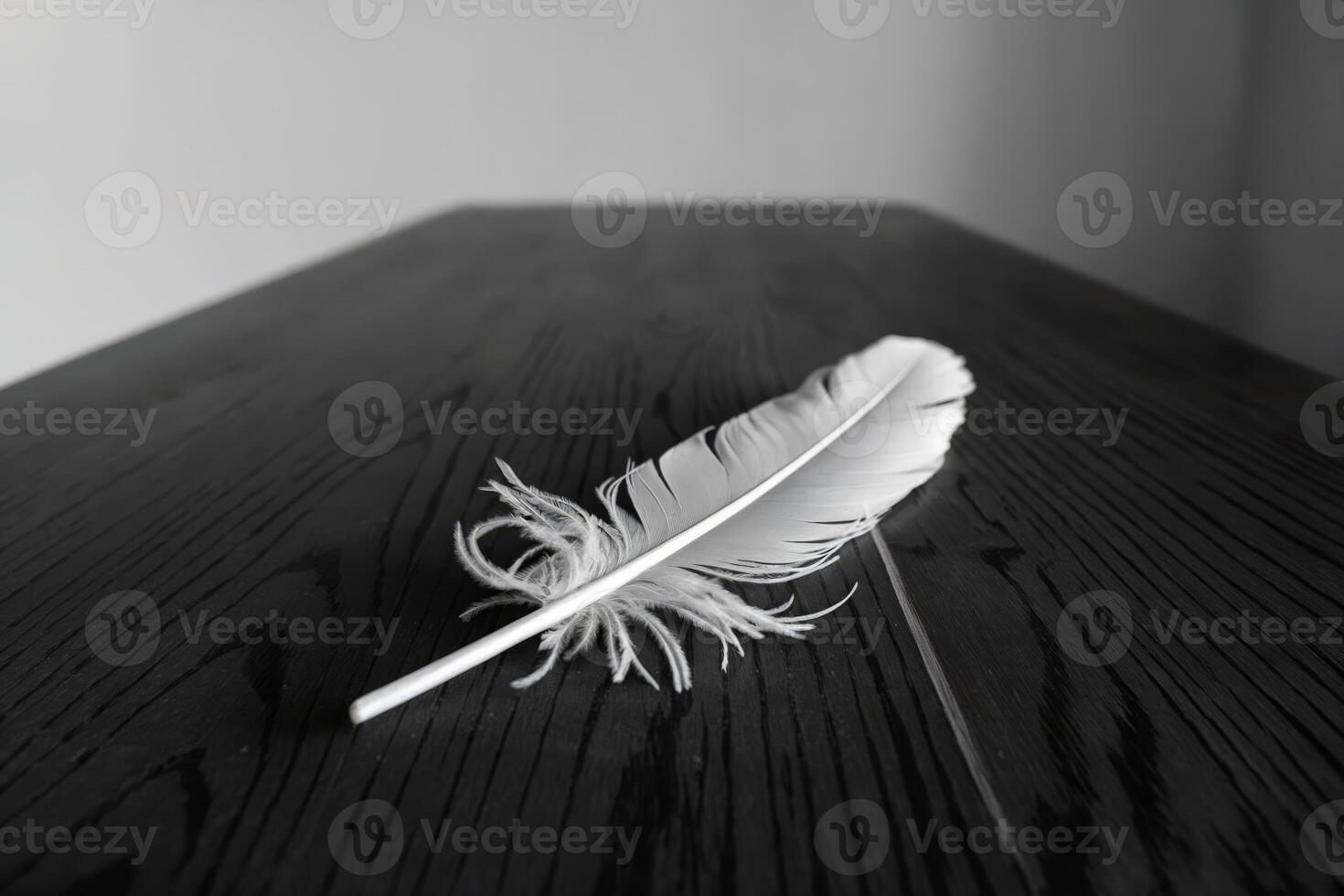 White feather on a dark, textured wooden surface in a minimalistic setting. photo