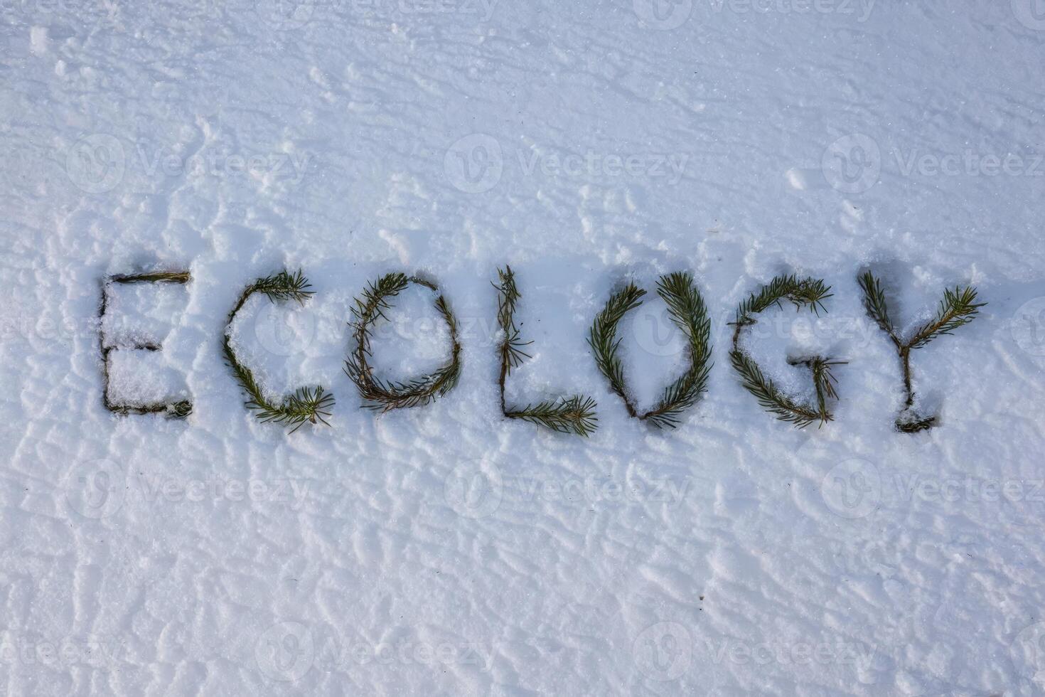 The word 'Ecology' written with pine needles on a snowy ground. photo