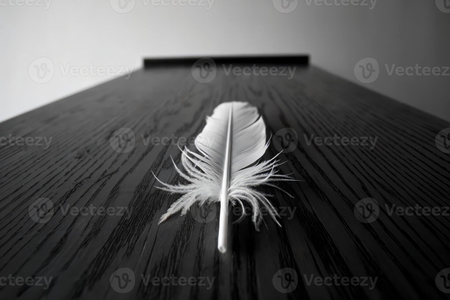 Single white feather on dark wooden surface, symbolizing peace and fragility. photo