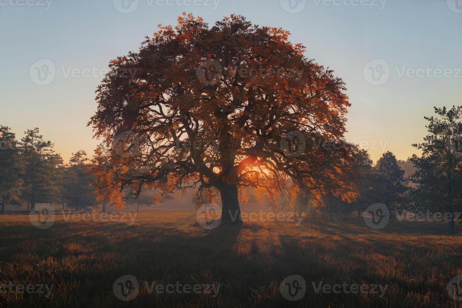 Majestic oak tree in a field at sunset with warm golden light photo