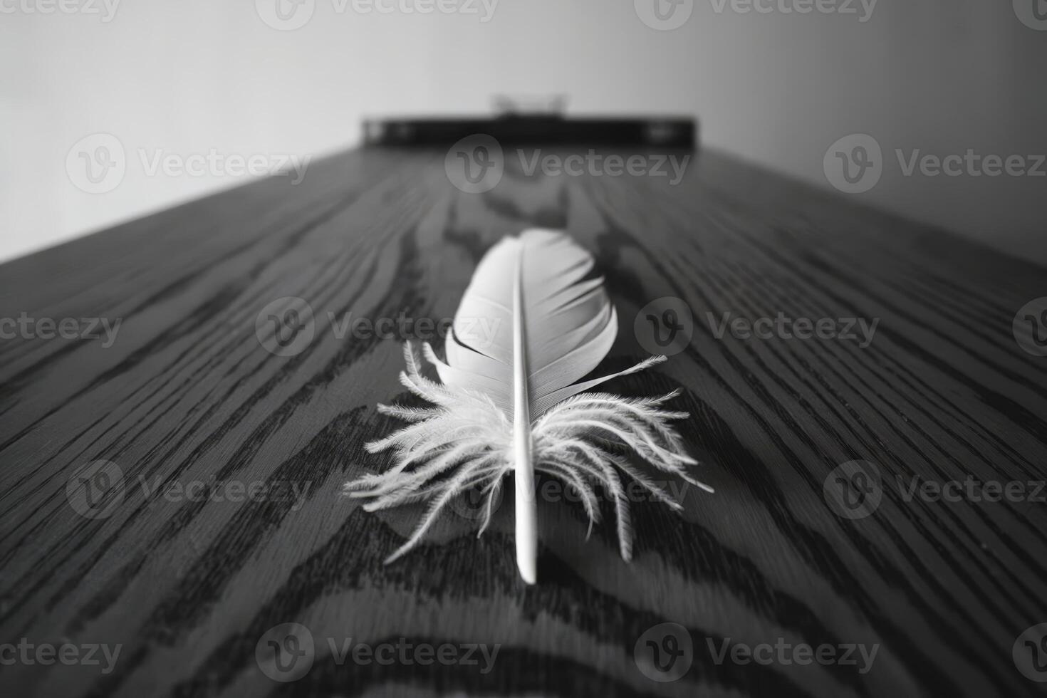 Close-up of a white feather on a dark wooden surface in a minimalistic setting. photo