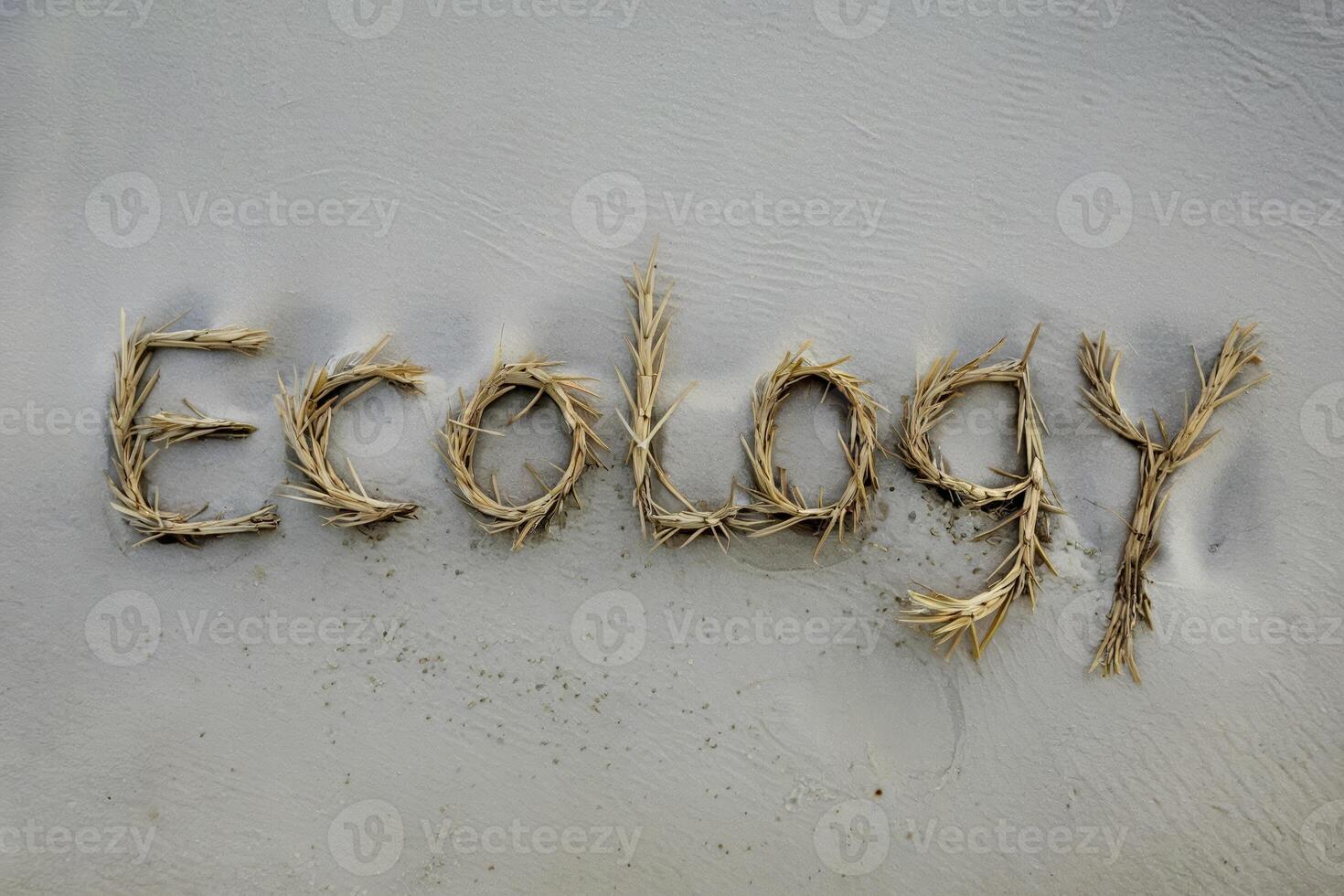 Word 'Ecology' crafted from dried grass on a sandy beach background. photo