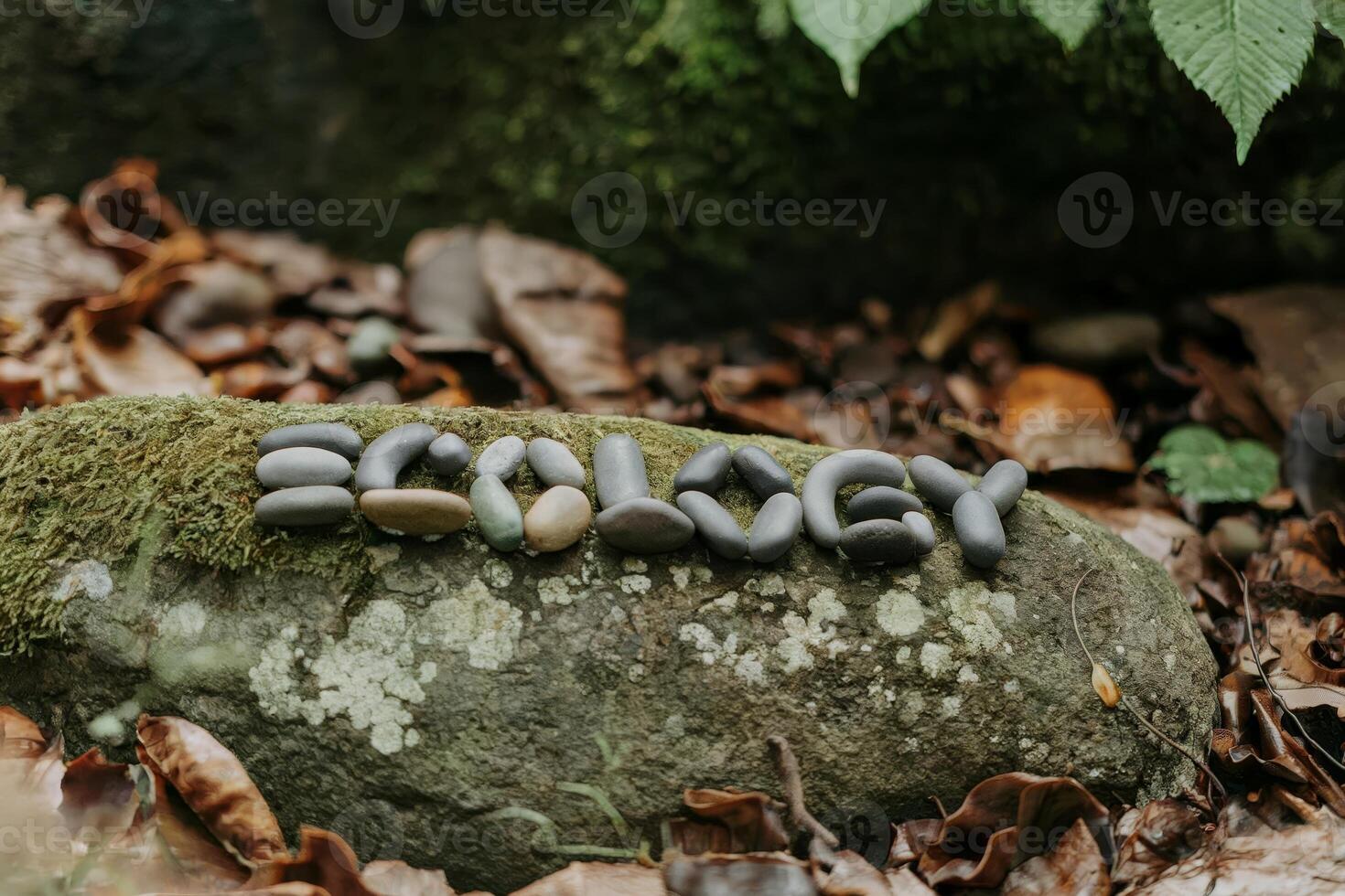 Word 'ecology' spelled with stones on a mossy rock in a forest setting. photo