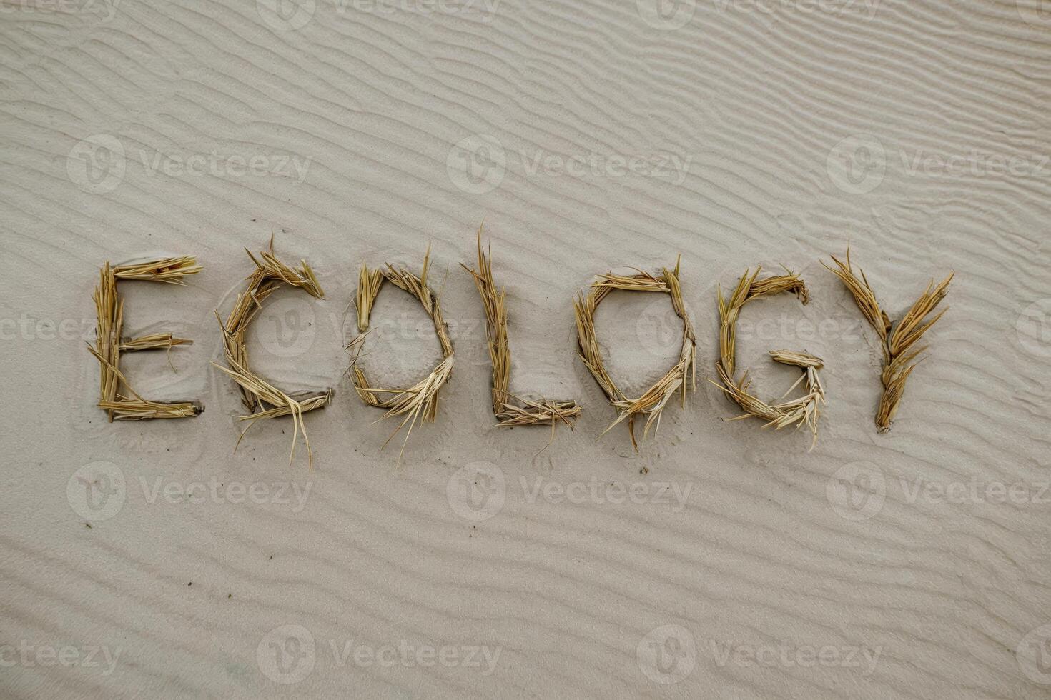 The word 'Ecology' spelled with straw on rippled sand beach. photo