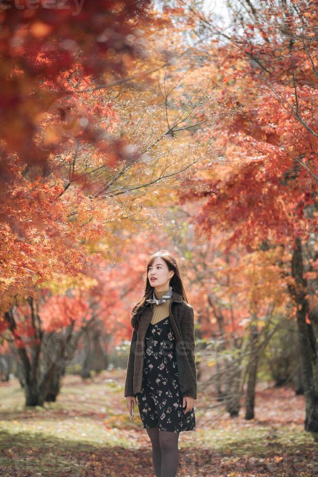 Portrait of a young Asian woman with autumn leaves photo