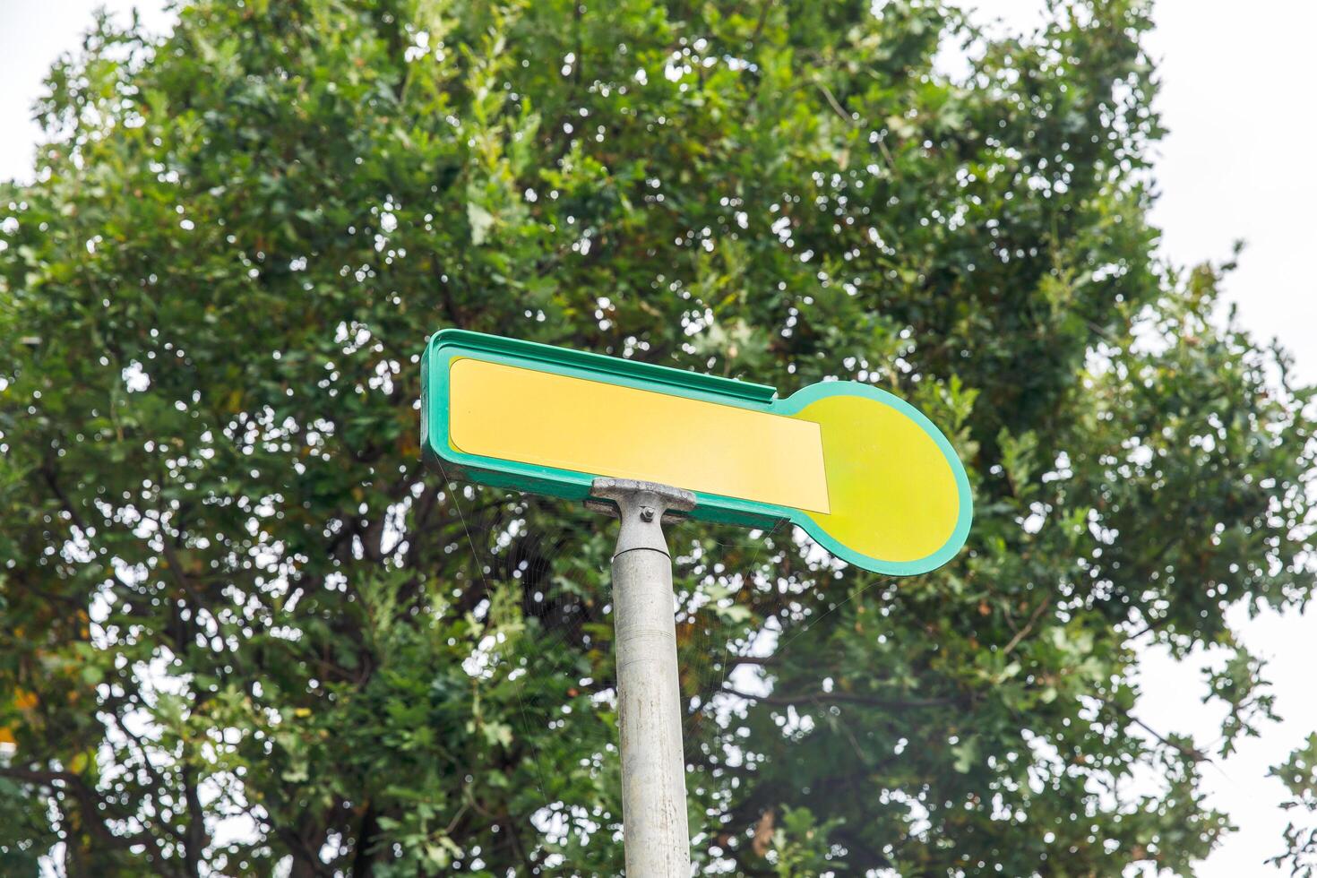 Blank yellow, green street sign on pole, lush green tree background, clear sky, directional signage concept photo