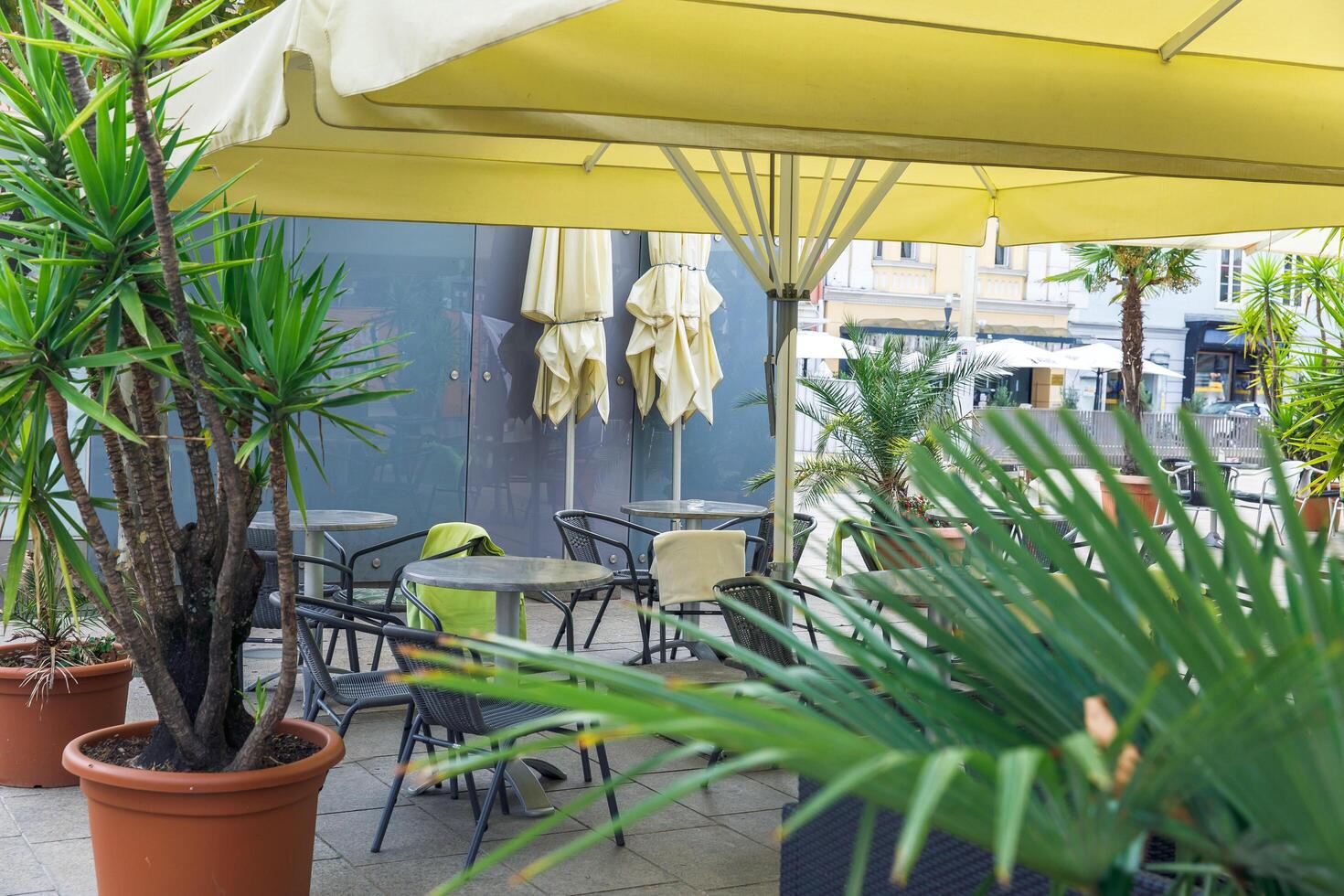 Outdoor cafe with potted plants, empty tables under yellow umbrellas, urban setting, daytime, hospitality, relaxation concept photo