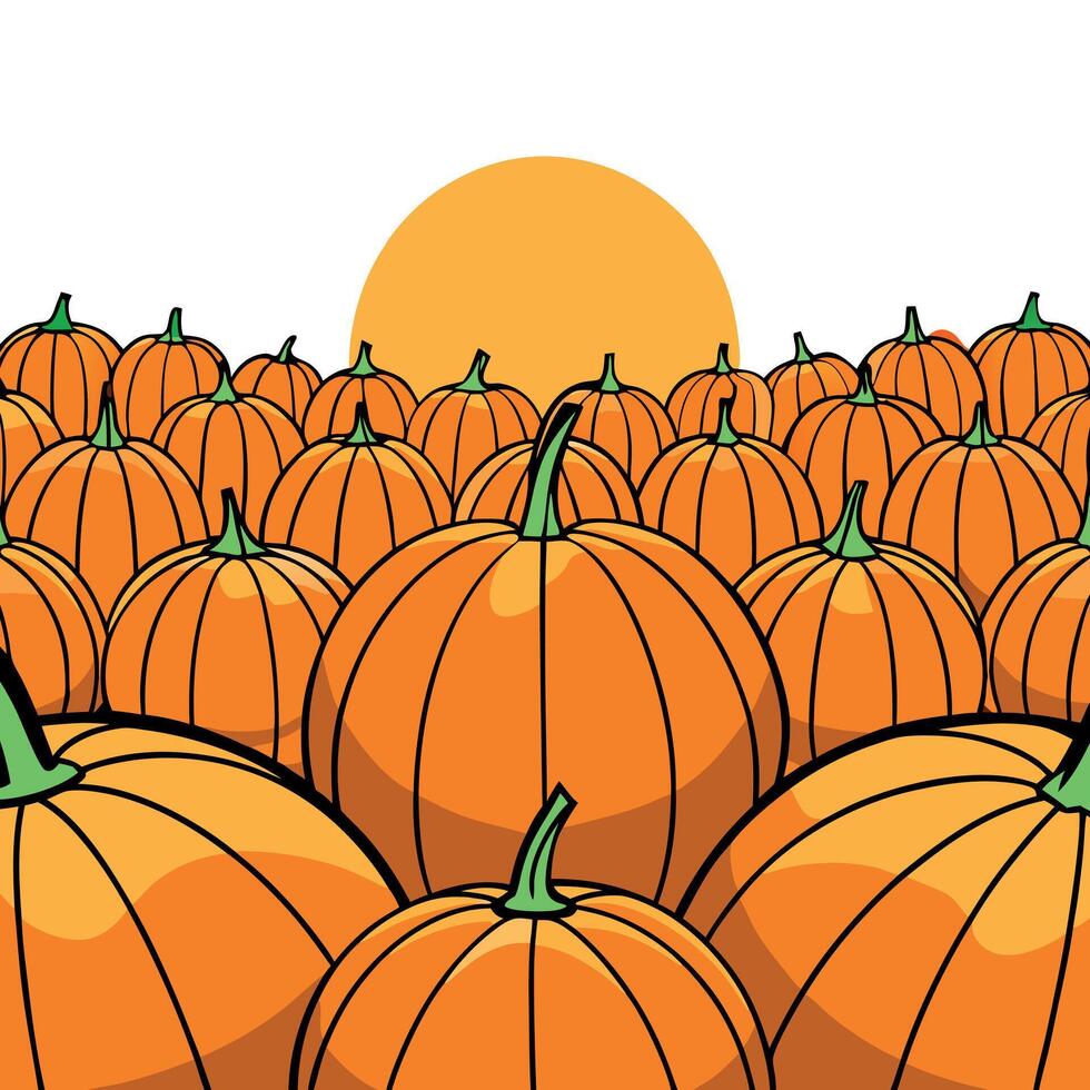 Pumpkins in a field with the sun in the background vector