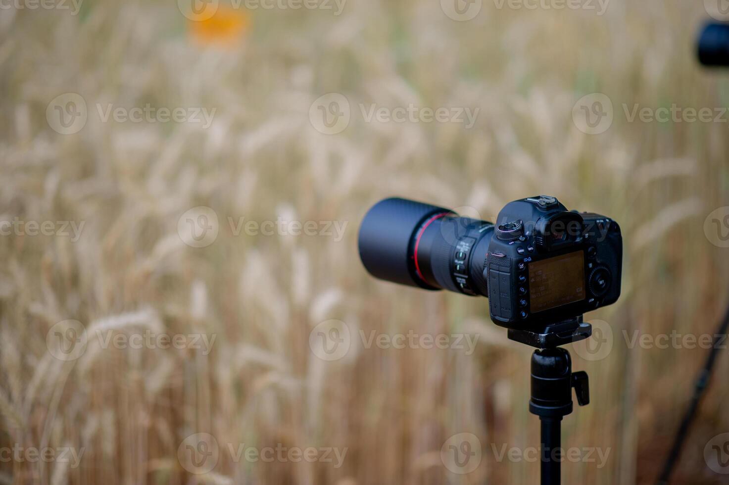 Photographer sets up a camera to capture the view of a traveler, a nature lover, peace and relaxation in nature. photo