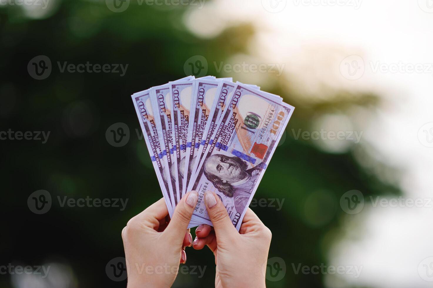 Dollar Currency Financial Income Earning Work Salary Cash Flow and Wealth photo
