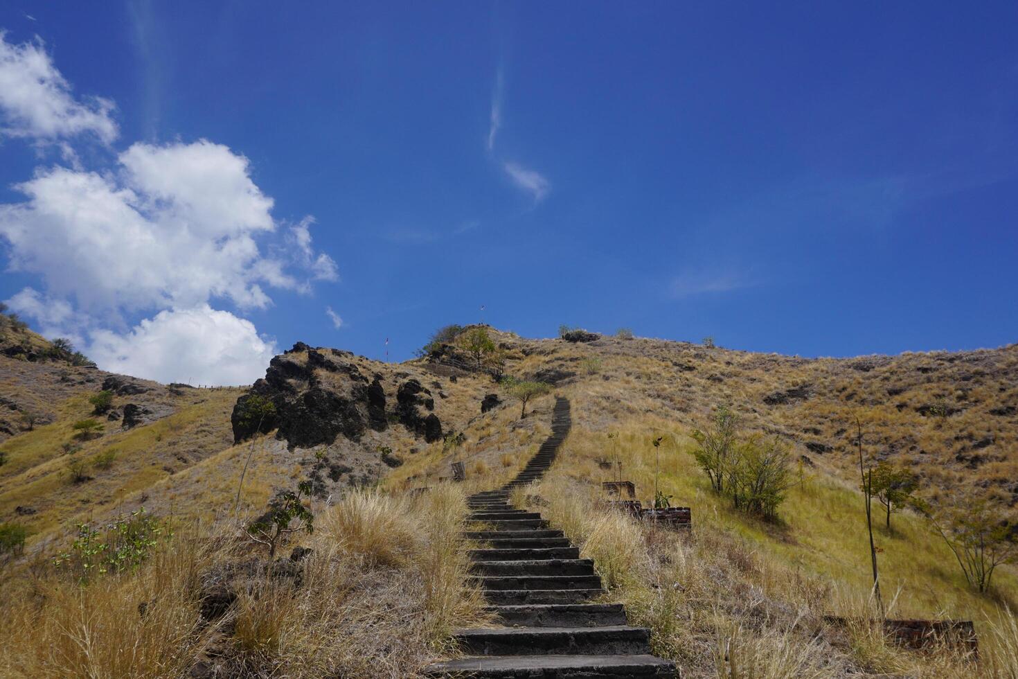 A hill with steps photo