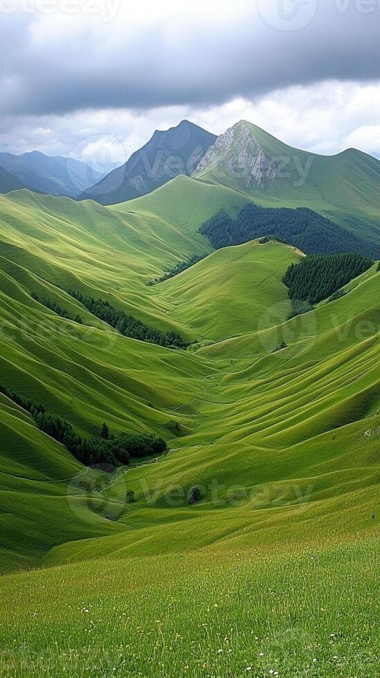 A green field with hills and mountains in the background photo