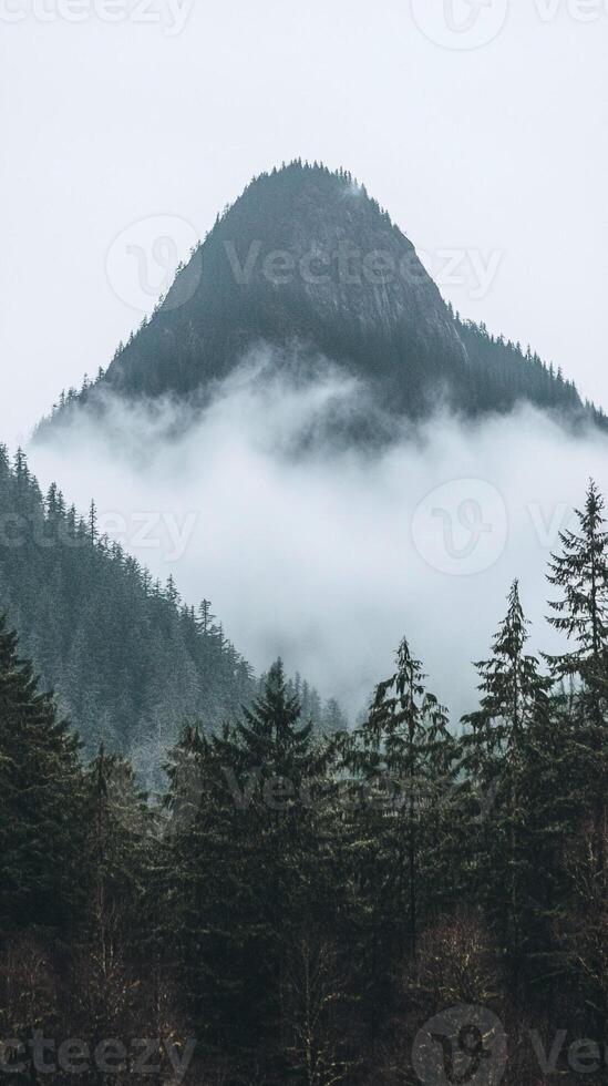 Mountains covered in fog and trees photo