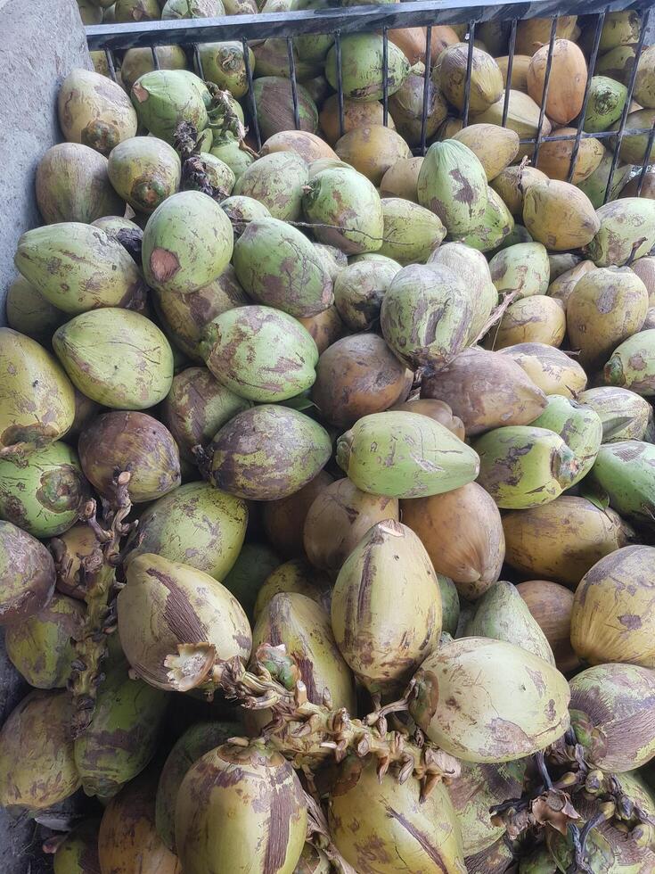 A bunch of coconuts in a basket photo