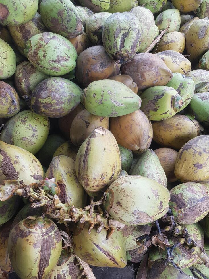 A pile of coconuts photo