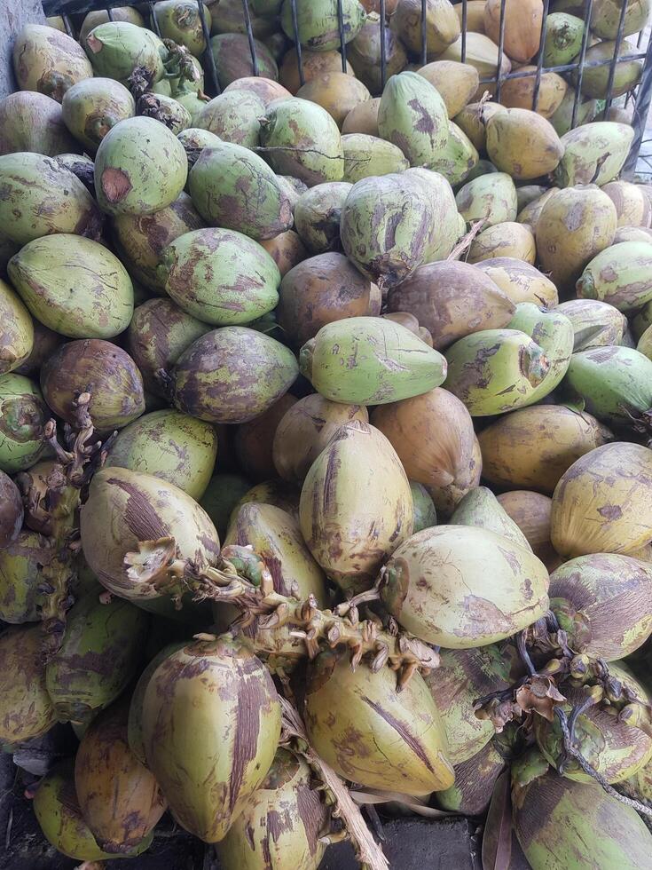 A bunch of coconuts sitting on top of each other photo