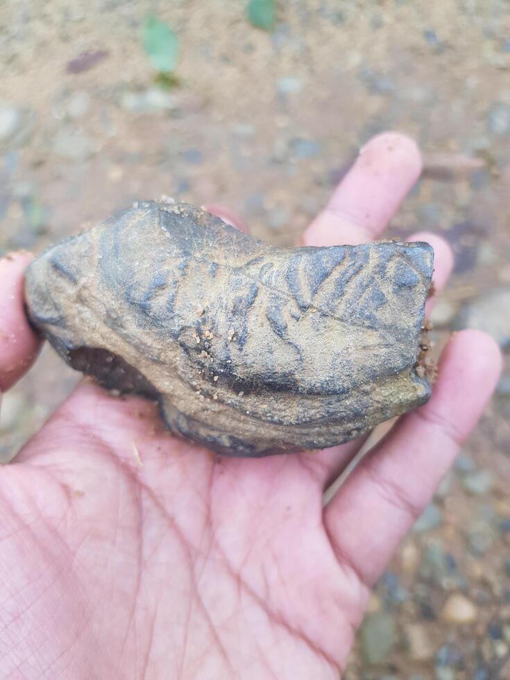 A hand holding a rock with a small piece of dirt on it photo