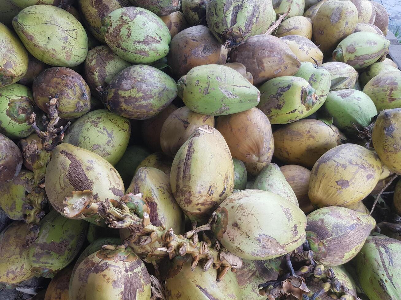 A pile of coconuts with leaves and fruit photo