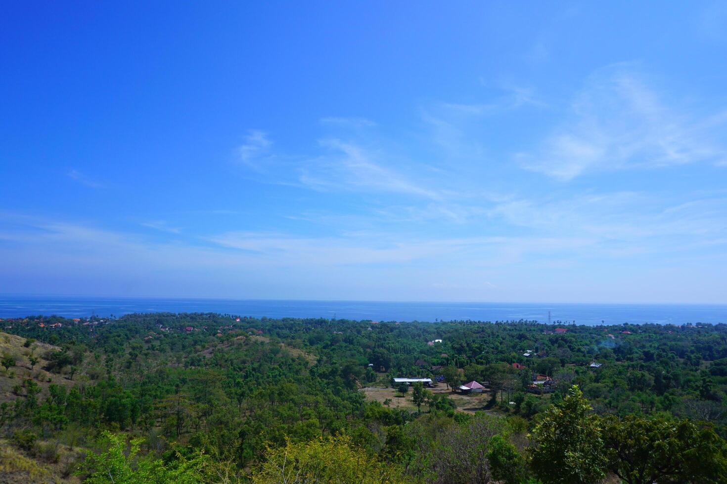 A view of the ocean from a hillside photo