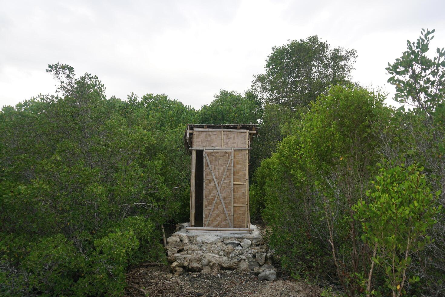 A small outhouse in the middle of a forest photo