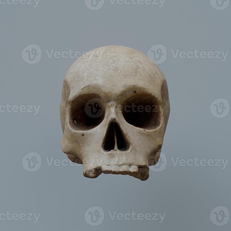 3d Render of skull head photo
