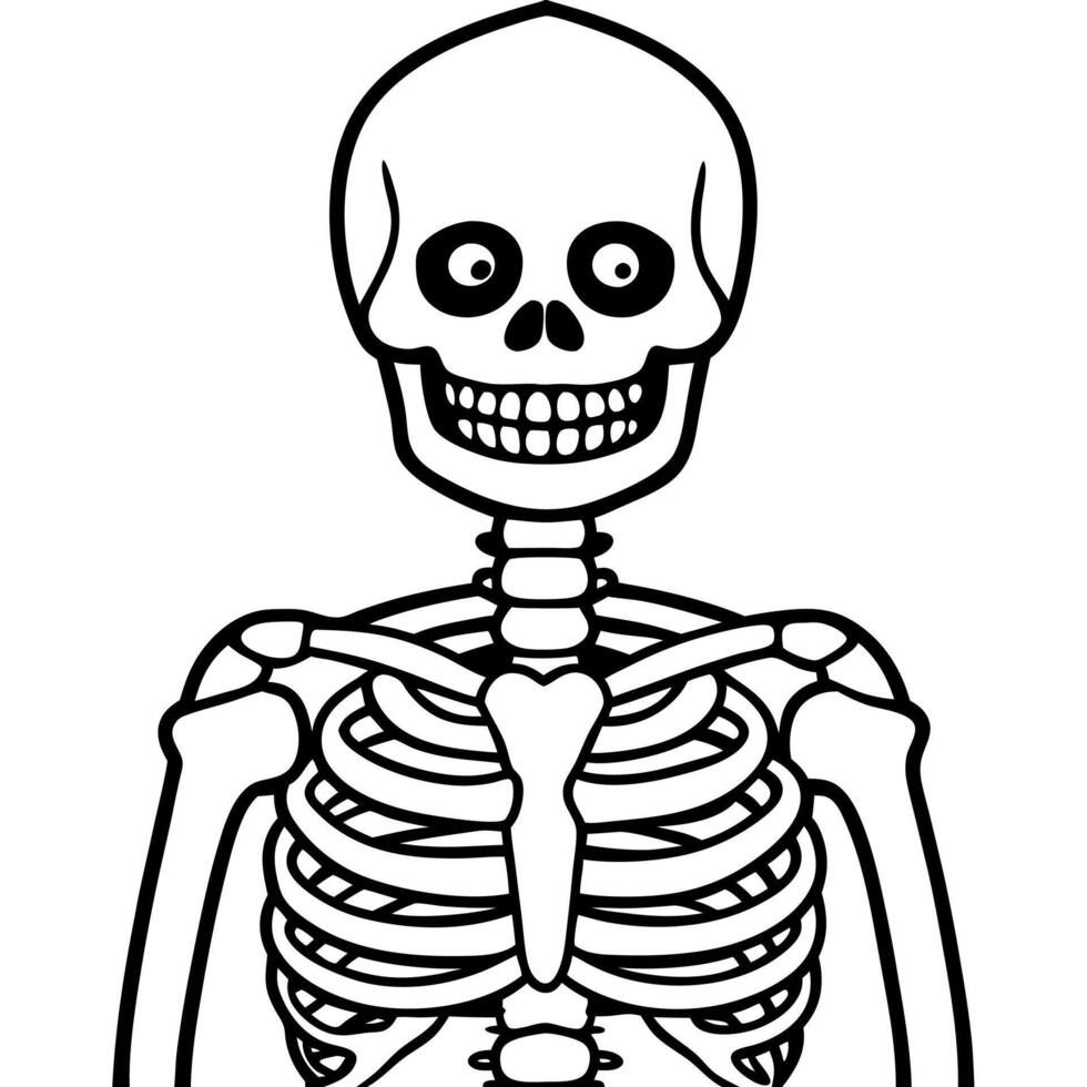 A black and white photo of a human skeleton. Suitable for educational purposes or Halloween-themed designs vector