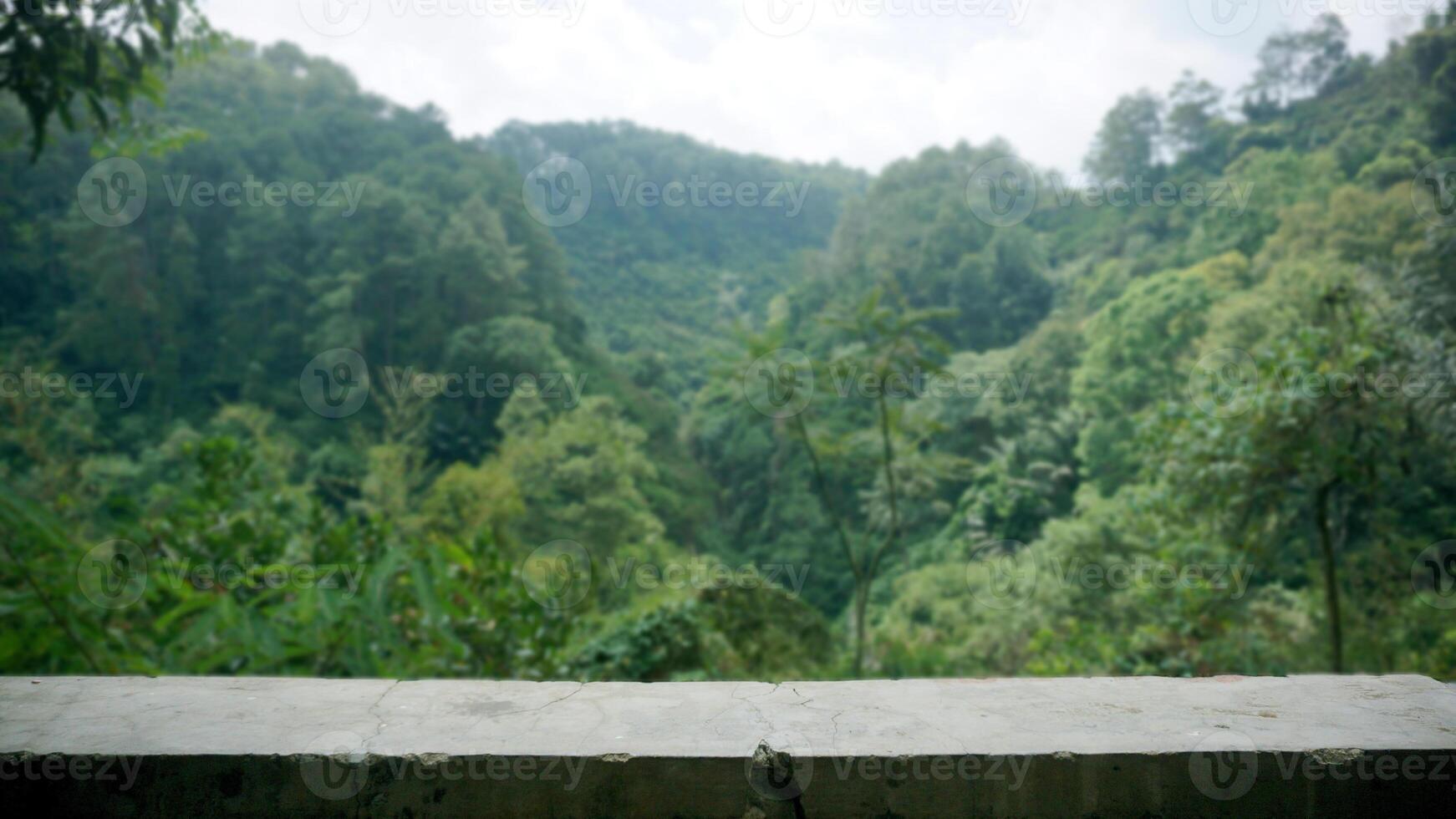 Empty stone table top with nature background. Ready for product display montage photo