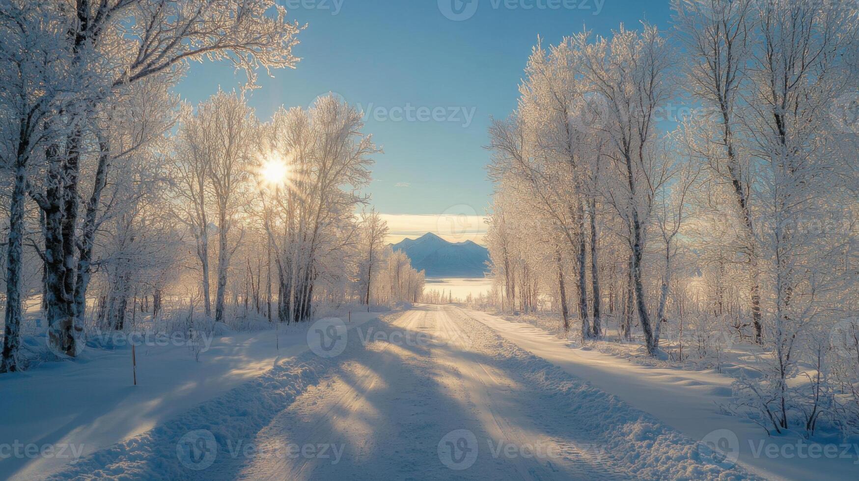 Beautiful winter landscape with snow-covered road and trees in hoarfrost. photo