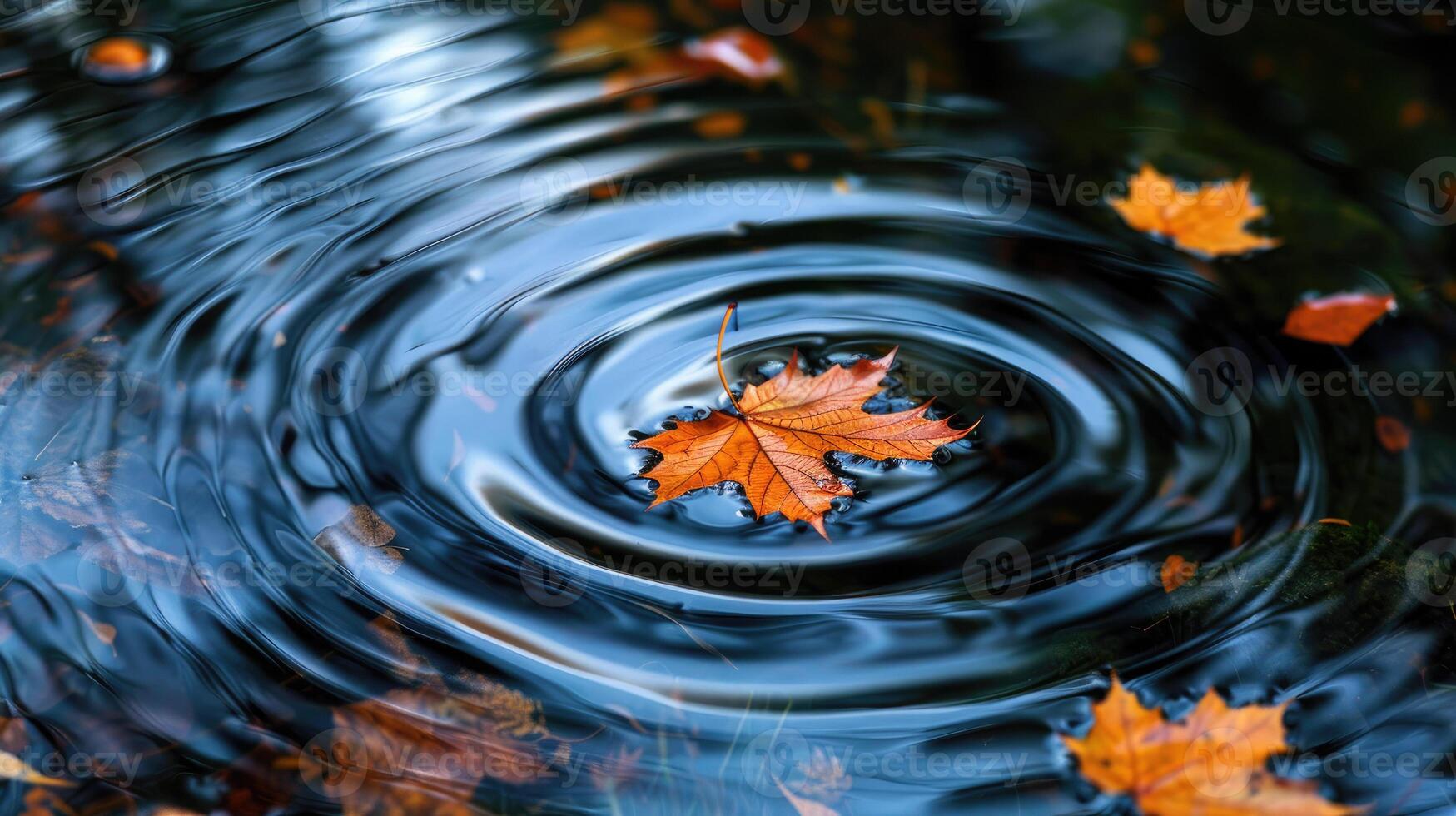 Colorful autumn leaves in lake water. Floating autumn leaf in park pond. Autumn nature background in october november. Beautiful reflection in water photo