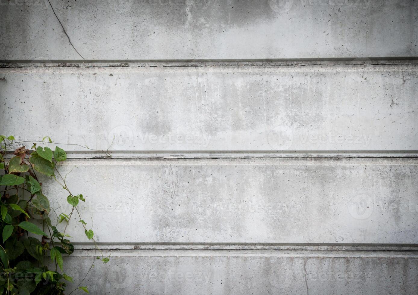 Brick Wall Green leaves photo